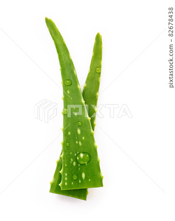 Close up aloe vera with water drops isolated on white background. 82678438