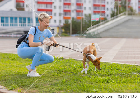 People working as dog-sitter, girl with french poodle dog in park. The young hispanic woman picks up her pet's poo with plastic bag. 82678439