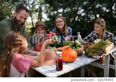 Family of farmers sitting by the table and looking at their harvest outdoors at community farm. Family of farmers sitting by the table and looking at their harvest outdoors at community farm. 82679993