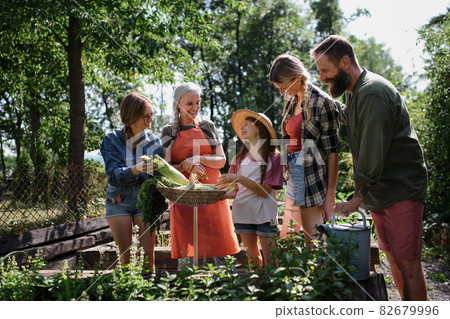Happy young and old farmers or gardeners looking at their harvest outdoors at community farm. Happy young and old farmers or gardeners looking at their harvest outdoors at community farm. 82679996