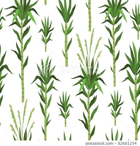 Seamless pattern bamboo tree. Sugarcane plant background, green cane stems isolated, leaves repeat, tropical nature design, vertical branches, decor textile, wrapping paper, vector print 82681254