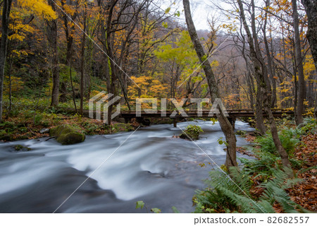 Kinshu Oirase Gorge 82682557