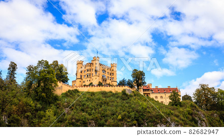 Hohenschwangau Castle 82682947