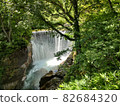 流經森林的瀑布 82684320