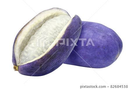 Akebi Akebi Illustration Real Set - Stock Illustration [82684538