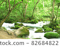 初夏青森縣被美麗深綠環繞的奧入瀨溪流 82684822