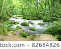 初夏青森縣被美麗深綠環繞的奧入瀨溪流 82684826