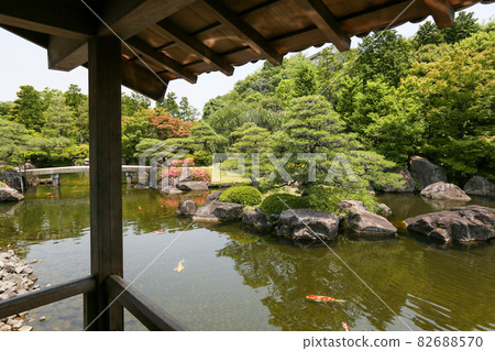 兵庫縣姬路市初夏姬路城西宮遺跡庭園古香園 兵庫縣姬路市初夏姬路城西宮遺跡庭園古香園 82688570