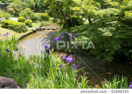 Hyogo Prefecture Himeji City Early Summer Himeji Castle West Palace Ruins Garden Kokoen 82688595