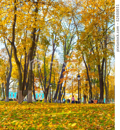 People leaves autumn park fall People leaves autumn park fall 82688651