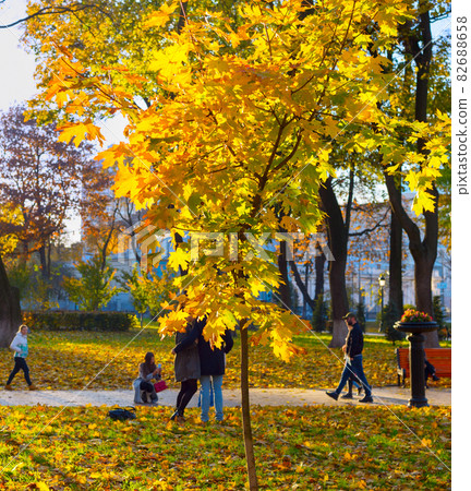 People leaves autumn park fall 82688658