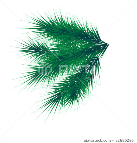 Green lush spruce branch. Fir branches - Stock Illustration [82690286 ...
