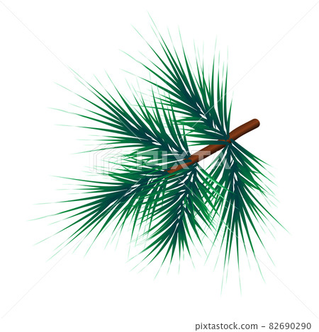 Green lush spruce branch. Fir branches - Stock Illustration [82690290 ...