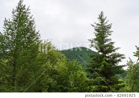 Vacation landscape. Russian Altai mountains. Multa region. Staycation concept Vacation landscape. Russian Altai mountains. Multa region. Staycation concept 82691925