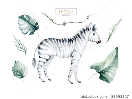 Hand drawn watercolor tropical zebra decoration. Exotic savannah illustrations, zoo jungle tree, brazil trendy art. Perfect for fabric design. Hand drawn watercolor tropical zebra decoration. Exotic savannah illustrations, zoo jungle tree, brazil trendy art. Perfect for fabric design. 82693307
