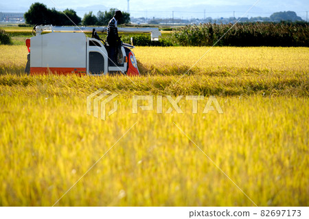 聯合收割機收割水稻的風景 聯合收割機收割水稻的風景 82697173