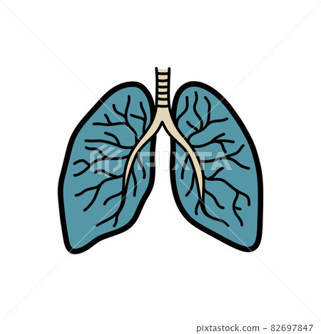 lungs doodle icon, vector color line illustration lungs doodle icon, vector color line illustration 82697847