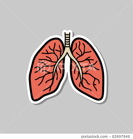 lungs doodle sticker icon, vector color line illustration lungs doodle sticker icon, vector color line illustration 82697848