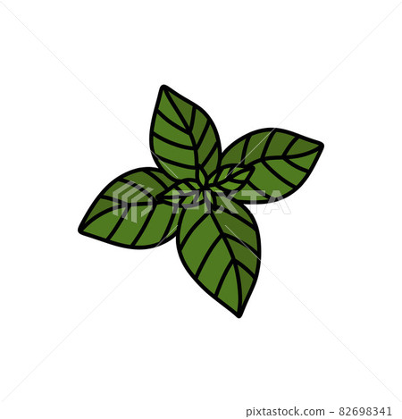 basil doodle icon vector color line illustration Stock