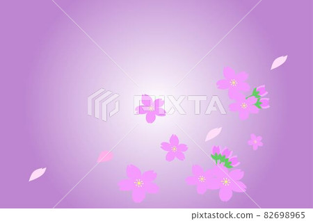 櫻花和紫色背景 82698965