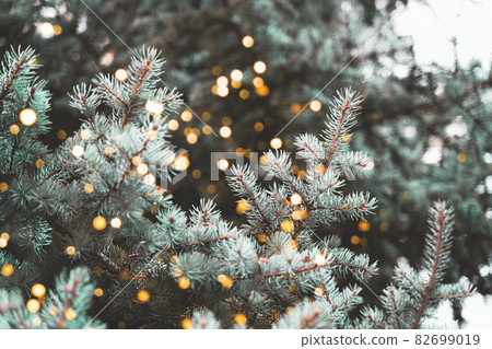 Festive Christmas tree lights abstract background Festive Christmas tree lights abstract background 82699019