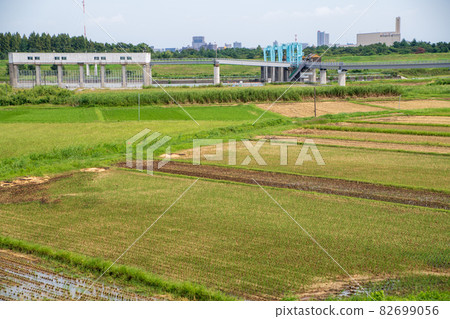 荒川岸邊秋瀨取水堰附近的景色,秋天的景色 荒川岸邊秋瀨取水堰附近的景色,秋天的景色 82699056