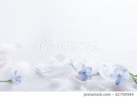 Soft feather and flower card white background material Soft feather and flower card white background material 82700984