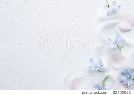 柔軟的羽毛和花牌白色背景材料 82700986