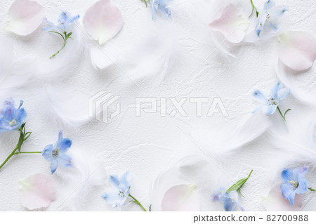 Soft feather and flower card white background material Soft feather and flower card white background material 82700988