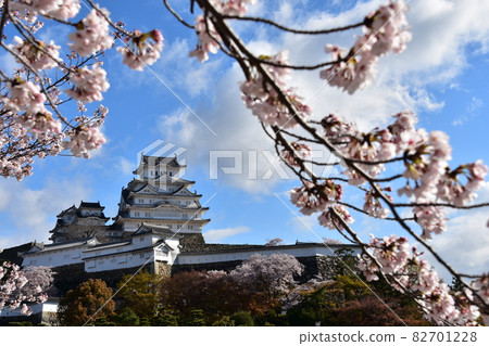 Himeji City, Hyogo Prefecture, Japan Himeji Castle, a World Heritage Site and a national treasure, spring cherry blossoms, blue sky and a magnificent castle tower Himeji City, Hyogo Prefecture, Japan Himeji Castle, a World Heritage Site and a national treasure, spring cherry blossoms, blue sky and a magnificent castle tower 82701228