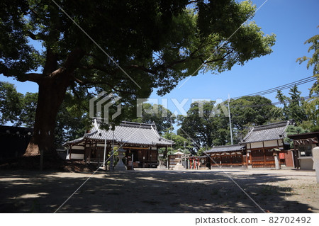 Koma Shrine's Shinboku Koma Shrine's Shinboku 82702492