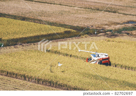 Rice field where rice harvesting progresses Combine harvester and egret gathering in a bird's-eye view Rural scenery a-2 Film style 82702697