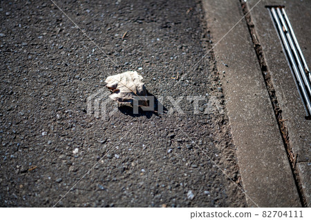 Dead leaves on the roadside Dead leaves on the roadside 82704111