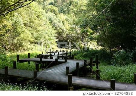 Scenery with a wooden deck 82704858