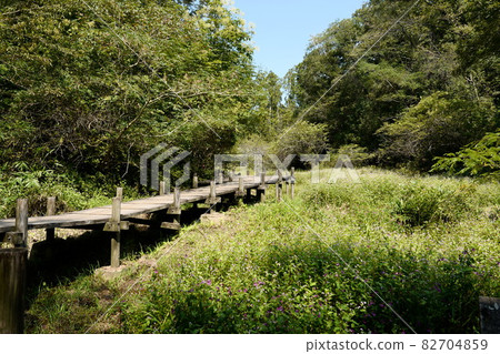 Scenery with a wooden deck 82704859