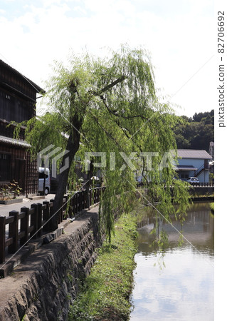 Weeping willow standing on the riverside 82706692