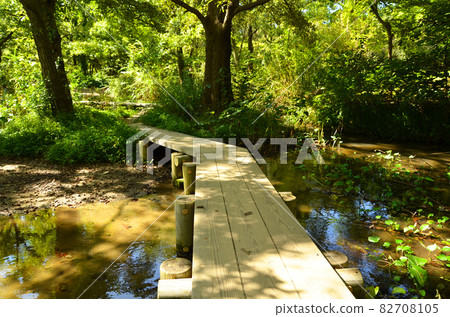 Wooden promenade over the water Wooden promenade over the water 82708105