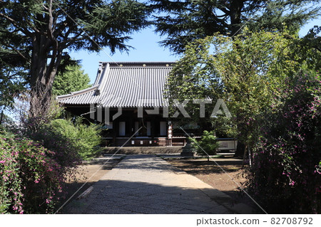 Kaneiji Temple Konponchudo, Ueno, Tokyo, Taito-ku, Toeizan Kaneiji Temple Kaneiji Temple Konponchudo, Ueno, Tokyo, Taito-ku, Toeizan Kaneiji Temple 82708792