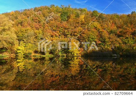 Autumn landscape. Beautiful colorful leaves in nature with the sun. Seasonal concept outdoors in autumn park. 82709664
