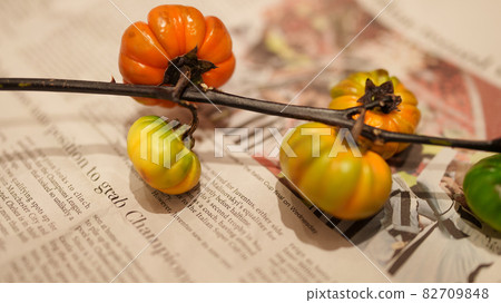 在英文報紙上拍攝的花茄子 Soranam(生動) 在英文報紙上拍攝的花茄子 Soranam(生動) 82709848