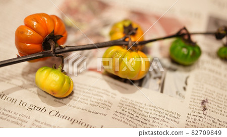 Soranam，一種在英文報紙上展示的花茄子（從左側拍攝） 82709849