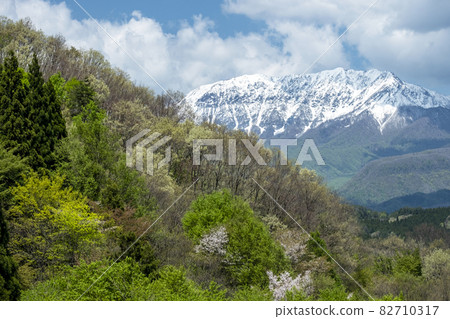 白雪皚皚的新鮮綠色大山（來自日前高原） 82710317