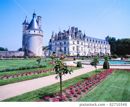 French Loire Garden and Chenonceau Castle 82710348
