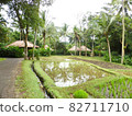 Idyllic countryside landscape of Southeast Asia 82711710