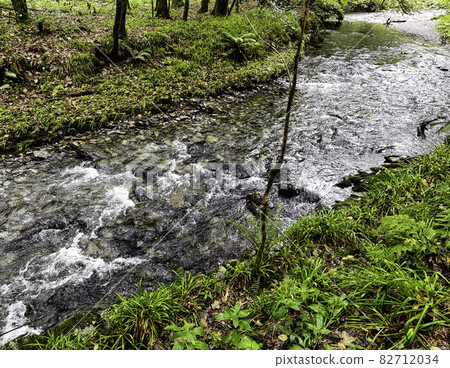 River Lyd - Lydford Gorge, Dartmoor National Park, Devon, United Kingdom 82712034