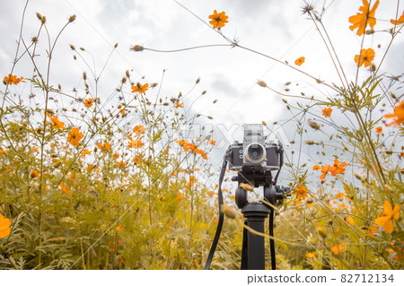 camera camera 82712134