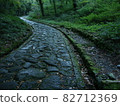 It is a stone pavement of Daisenji Temple. 82712369