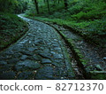 It is a stone pavement of Daisenji Temple. 82712370