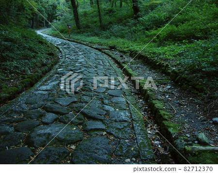 它是大山寺的石板路。 它是大山寺的石板路。 82712370