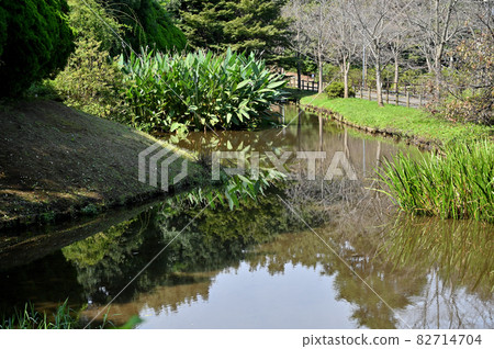 Noda City Walk: Shimizu Park Noda City Walk: Shimizu Park 82714704